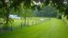 2012 HWK 012_small.jpg